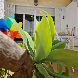 San Antonio - Beach, Pool And Terrace , Torremolinos Spain